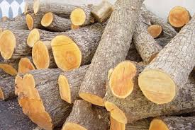 انواع چوب
شناخت چوب
چوب تر
چوب خشک
سوختن چوب